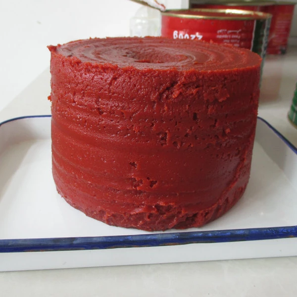canned tomato paste 2200g with red color for Russia