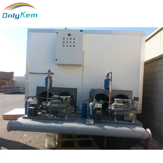 Container Blast Freezer for Meat Seafood