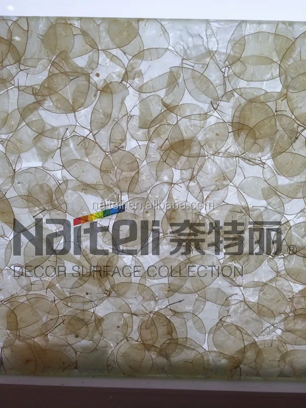 Natural Plant Decorative Acrylic Design Door, Room Door Design