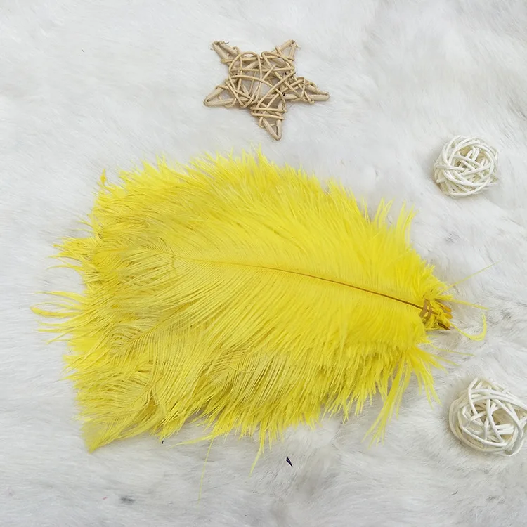 20-25CM Natural Dyeable Ostrich Feather Mulity Color Feather For Dress