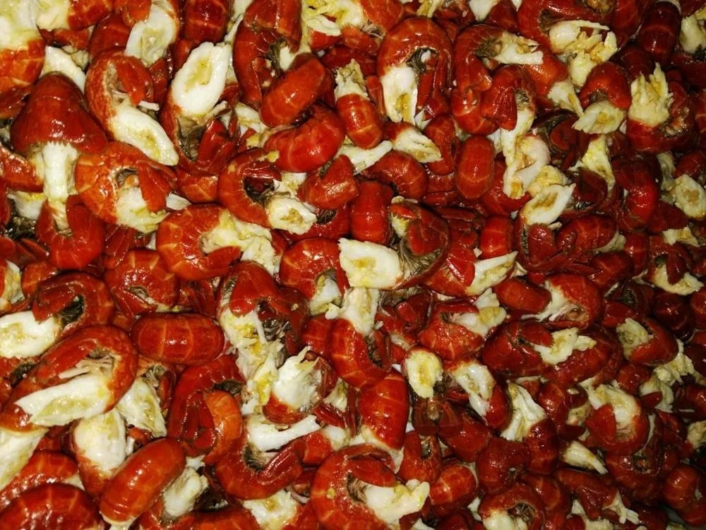 DJL liquid nitrogen tunnel freezer for lobster tail/quick freezing machine for crayfish tail /shrimp tail flash freezer