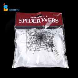 spider web with spider cobweb for indoor decoration