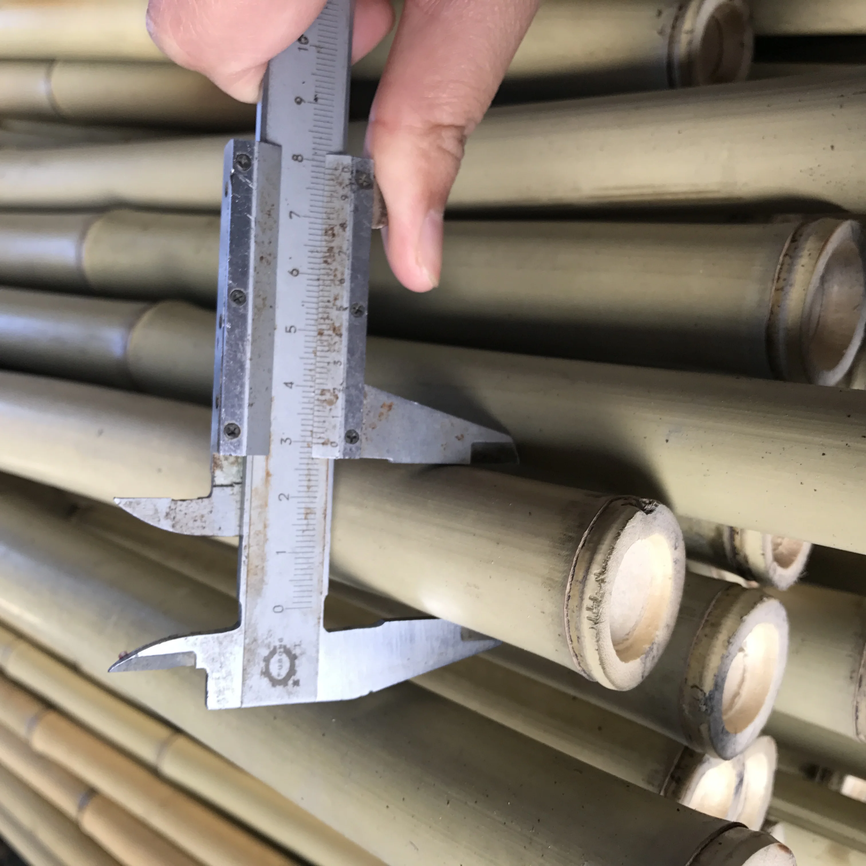 Garden Dried Bamboo Cane Bamboo Stick Bamboo Pole for Planting