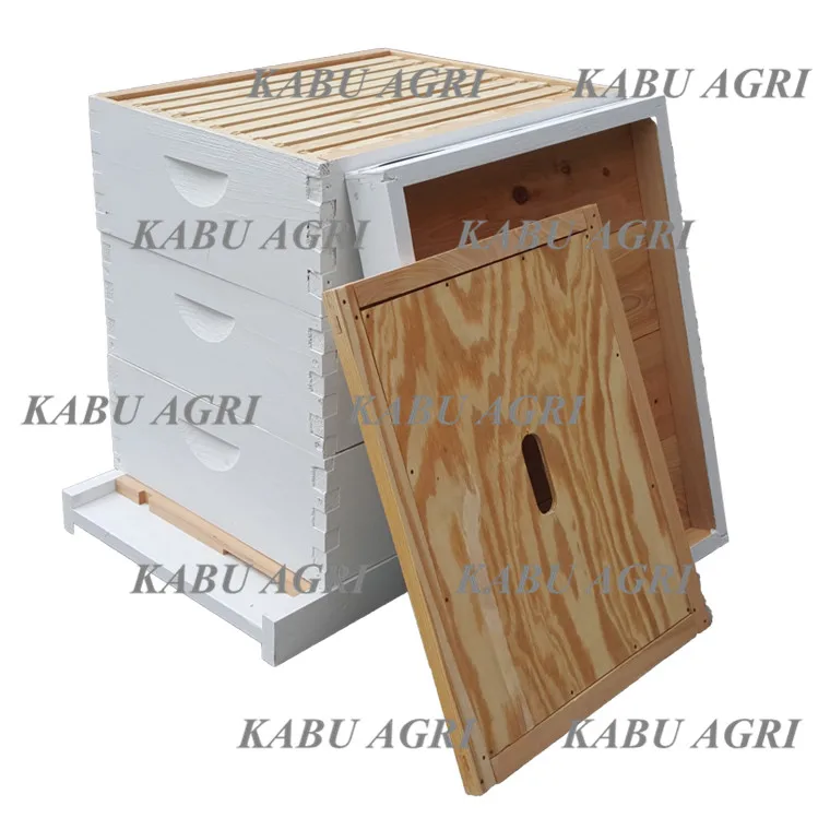 Набор средних пчелиных улей langstroth для начинающих