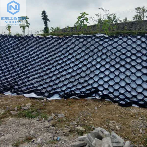 
Geocell   a strong and flexible, three dimensional honeycomb grid, providing soil stabilisation  (62197641667)