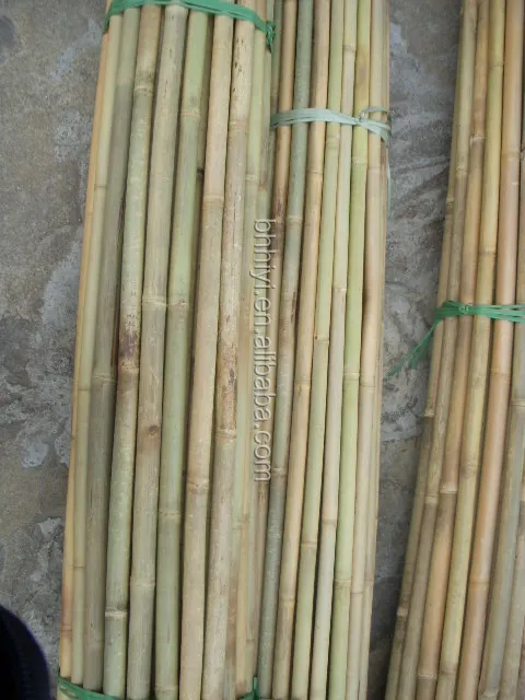 Garden Dried Bamboo Cane Bamboo Stick Bamboo Pole for Planting