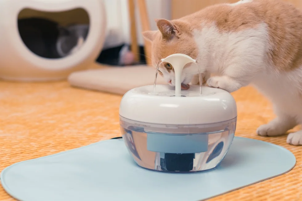 
PAWOOF cat water fountain with a powerful filter hot selling water fountain for cat five star cat fountain 