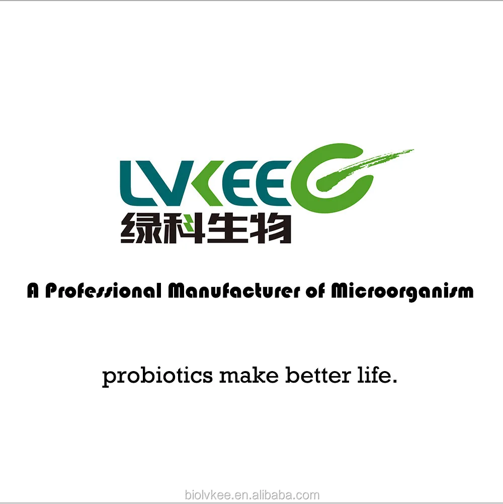 High Quality 50 bilion cfu/g Bacillus Laterosporus for animal additives supplements