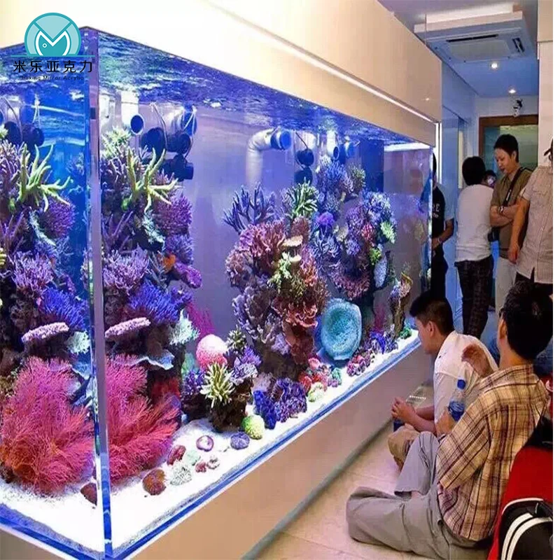 Hot sale accessories acrylic wall mounted aquarium light fish tank with various styles