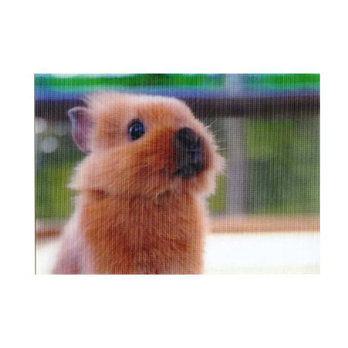 3D lenticular card/pp/pet/pvc kids promotional gifts cards/playing card
