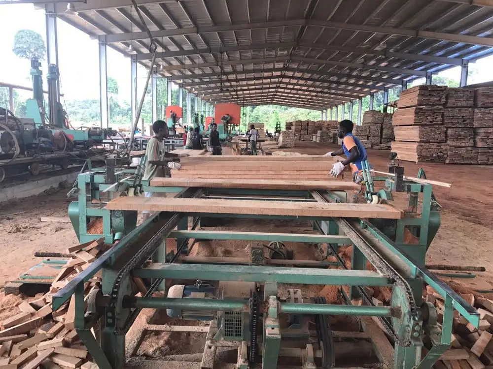 Wooden round logs/timber/ BIRCH/ ADOUNG/DABEMA/ OKAN/ RED ZEBRA/ TALI/ ZINGANA