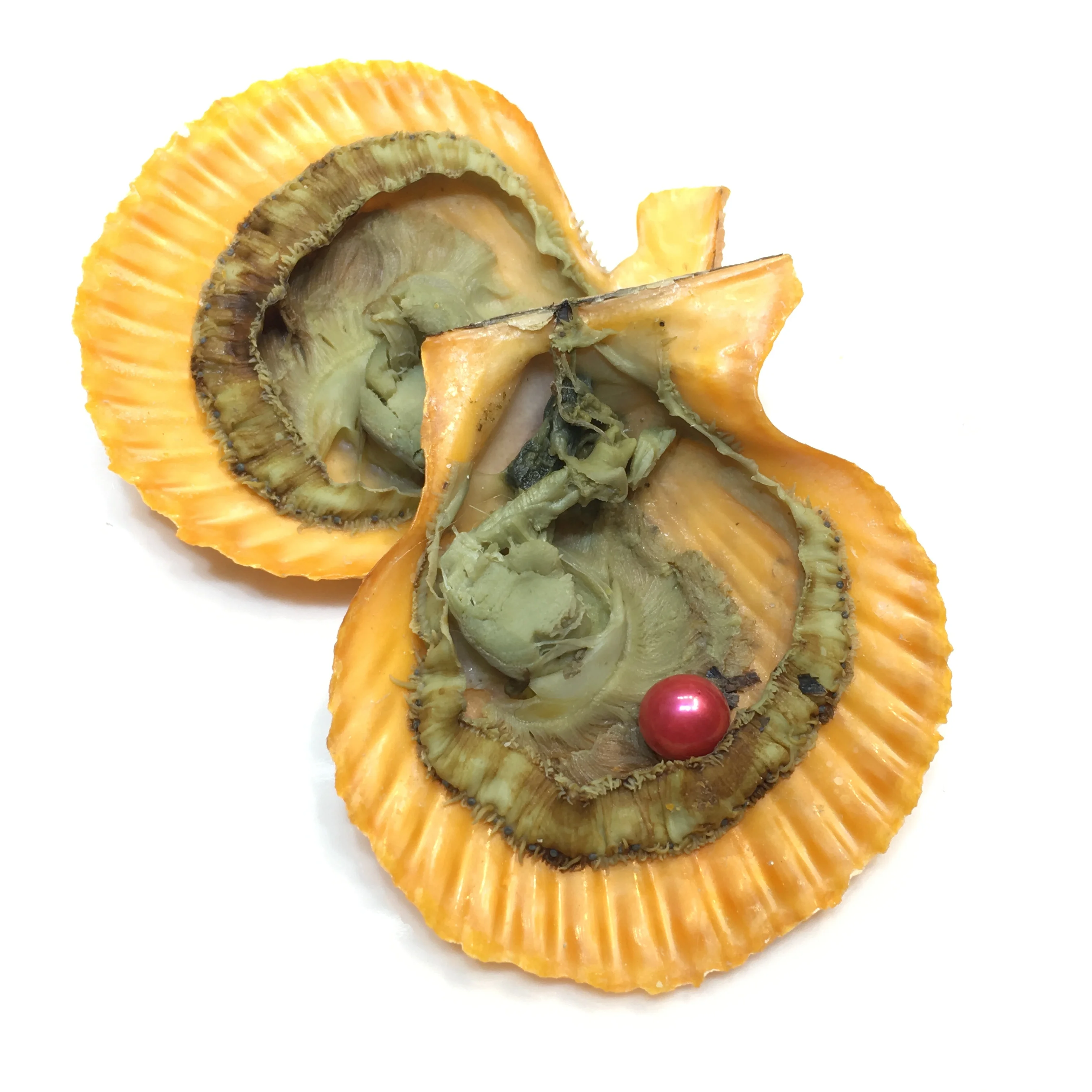 
Single, AAA grade 8-9mm mix 17 colors round pearls, 1 pearl in 1 red oyster shell, be packed in individual vacuum 