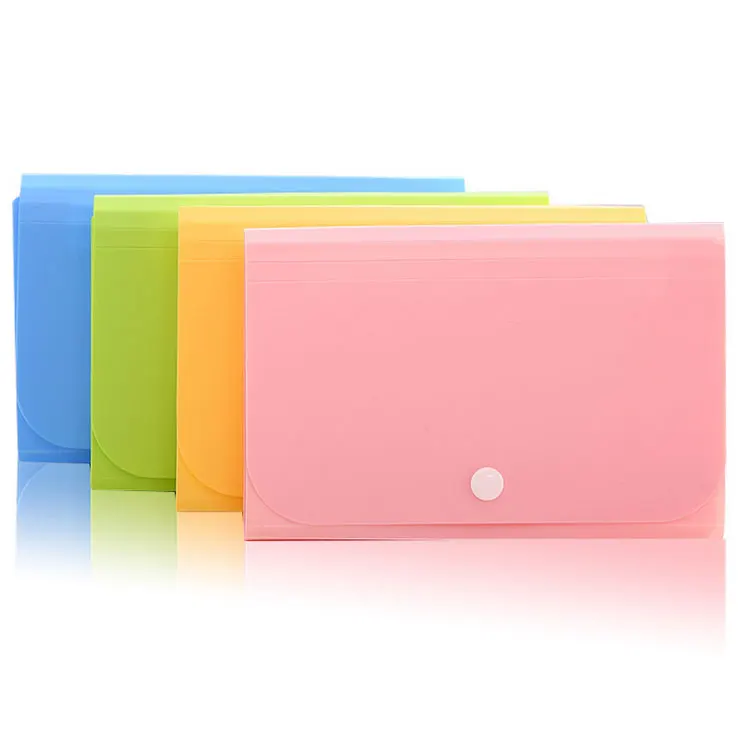 Accordion File Organizer, A6 Plastic Wallet for Cards,Coupons,Receipt,Tax Item, Mini Expanding Folders 13 Pockets