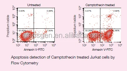 TransDetect Annexin V-FITC/PI Cell Apoptosis Detection Kit