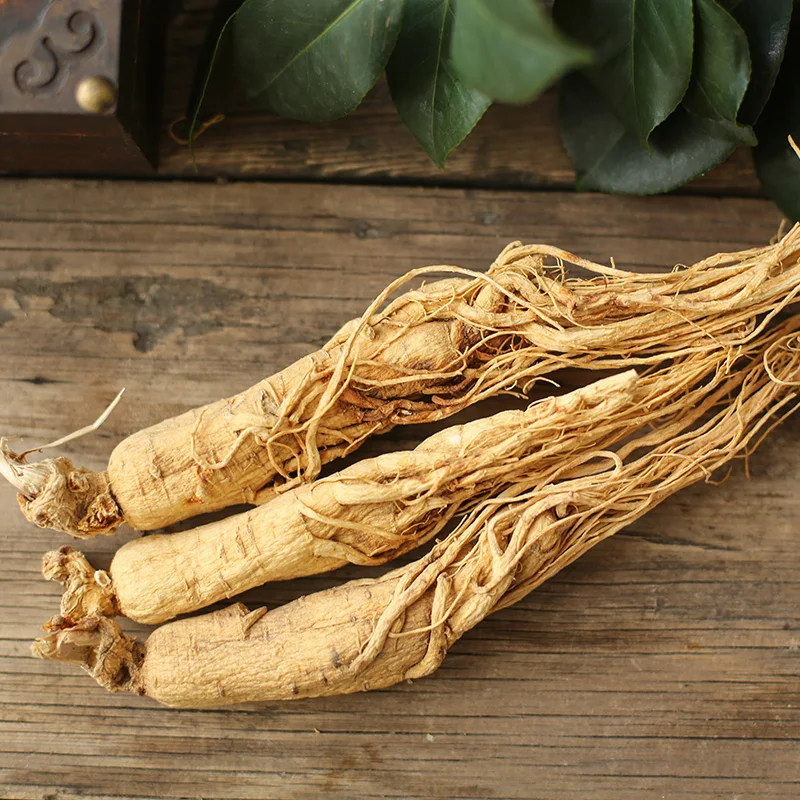 China supplier Hot panax ginseng rootdried ginseng root  korean ginseng
