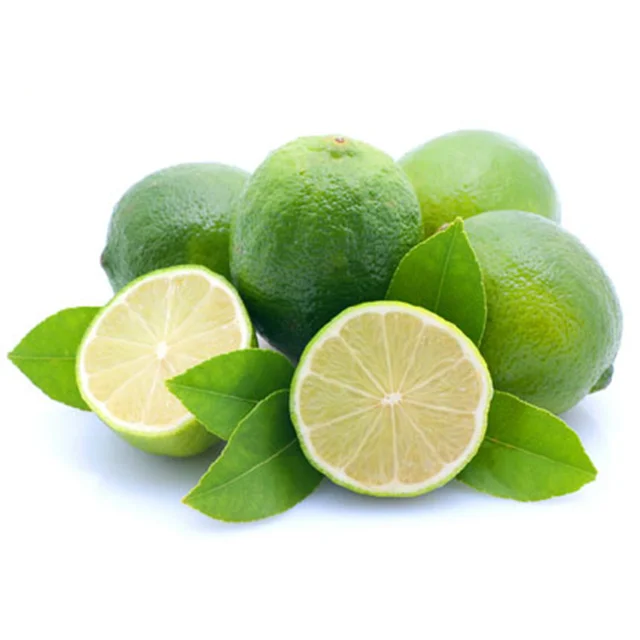 Лучшие поставщики ЛИМОННЫХ деревьев