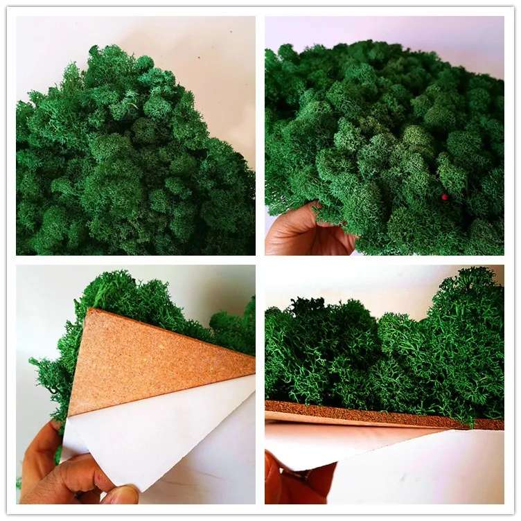 
Wholesale 500g high quality decor preserved moss 