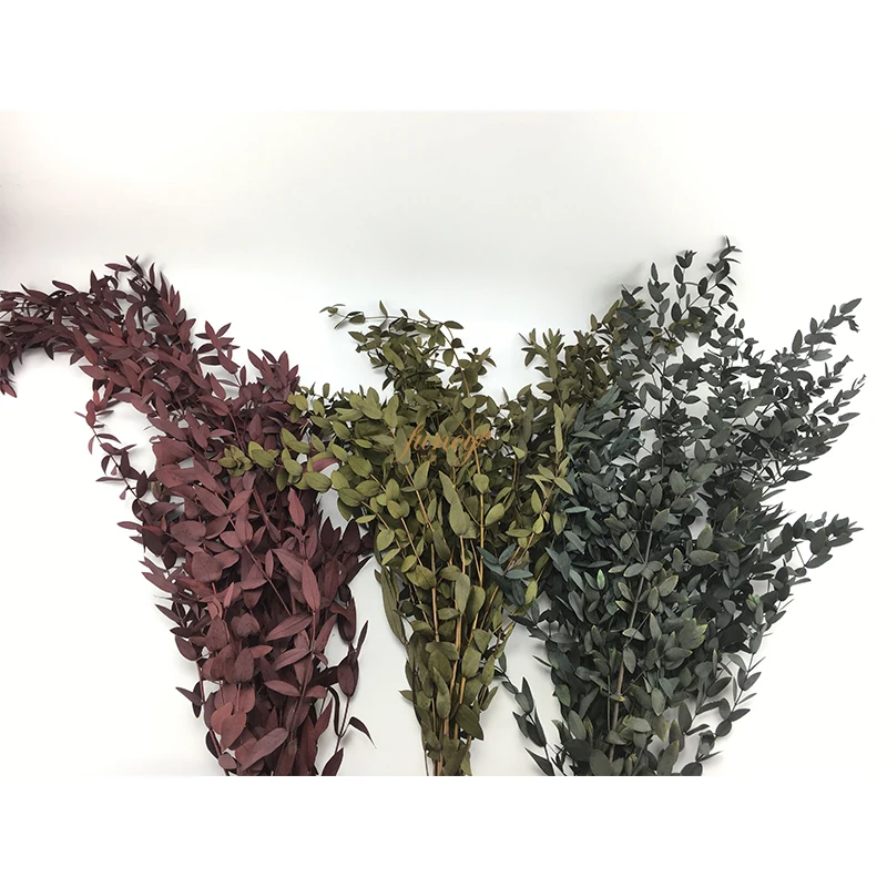 Last 3 Years Natural Flower Leaves Arrangement Dried Preserved Eucalyptus