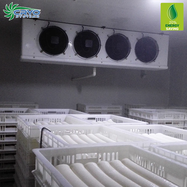 industrial cold rooms hinge with trailer to store black rose flower frozen meat grinder machine strawberry