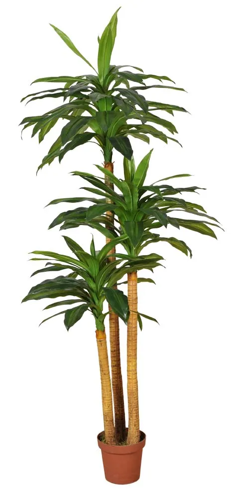 Hot sale Fake Corn plant Draceaena Fragrans artificial Dracaena angustifo plastic tree for home and office decoration