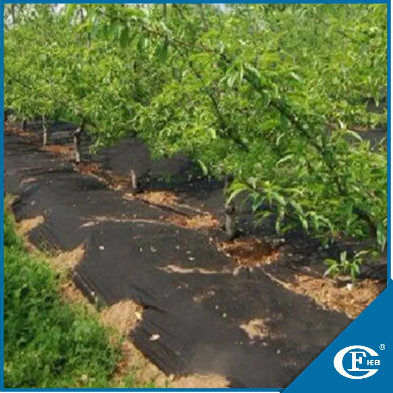 
China wholesaler uv-treated plastic tarpaulin roof cherry cover/ plastic mulch laying machine for american 
