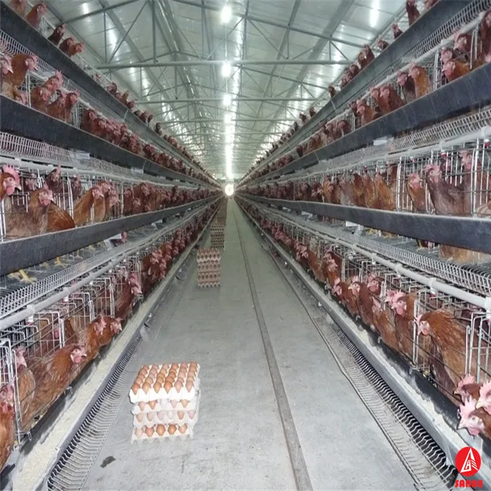 Cheap Chicken Laying Cage/layer Egg Chicken Cage/poultry Farm House Design