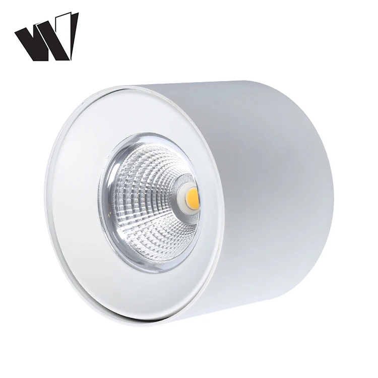 Manufacturer cheap 240 volt ceiling lighting for hotelr COB 6w 9w 12w 15w 20w 24w 30w 36w led lamp