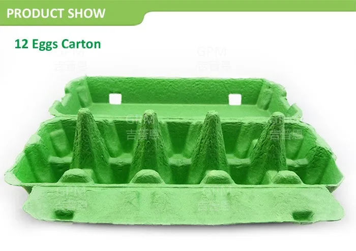 China Factory High quality Chicken Egg Carton for sale
