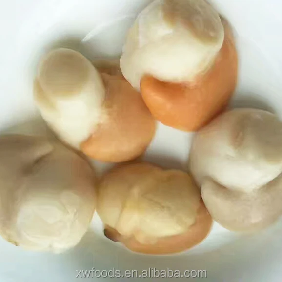 Russian Scallop Roe on