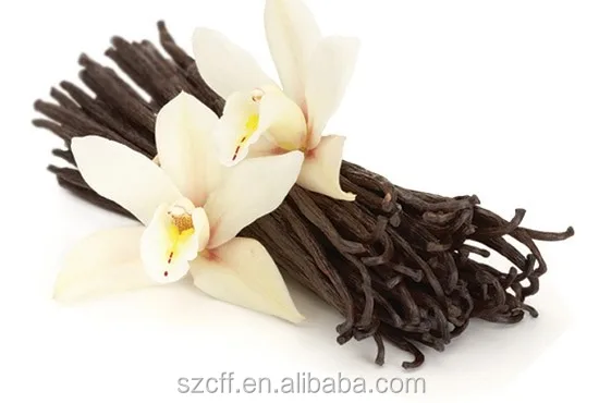 Cream Flavored Vanilla Liquid Essence Cream Vanilla Flavor For Bakery Food