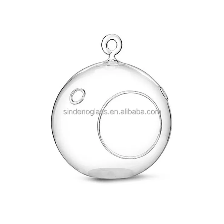 Hanging Glass Planter Round Air Plant Terrarium Glass Decorations for Succulent Tillandsia