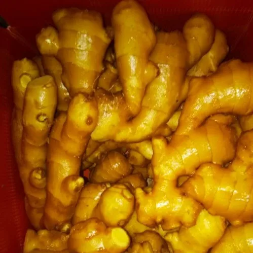 
Fresh Ginger From China 