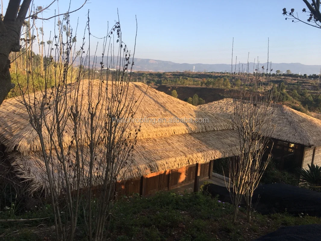 hotel thatch tiki hut palapa roof