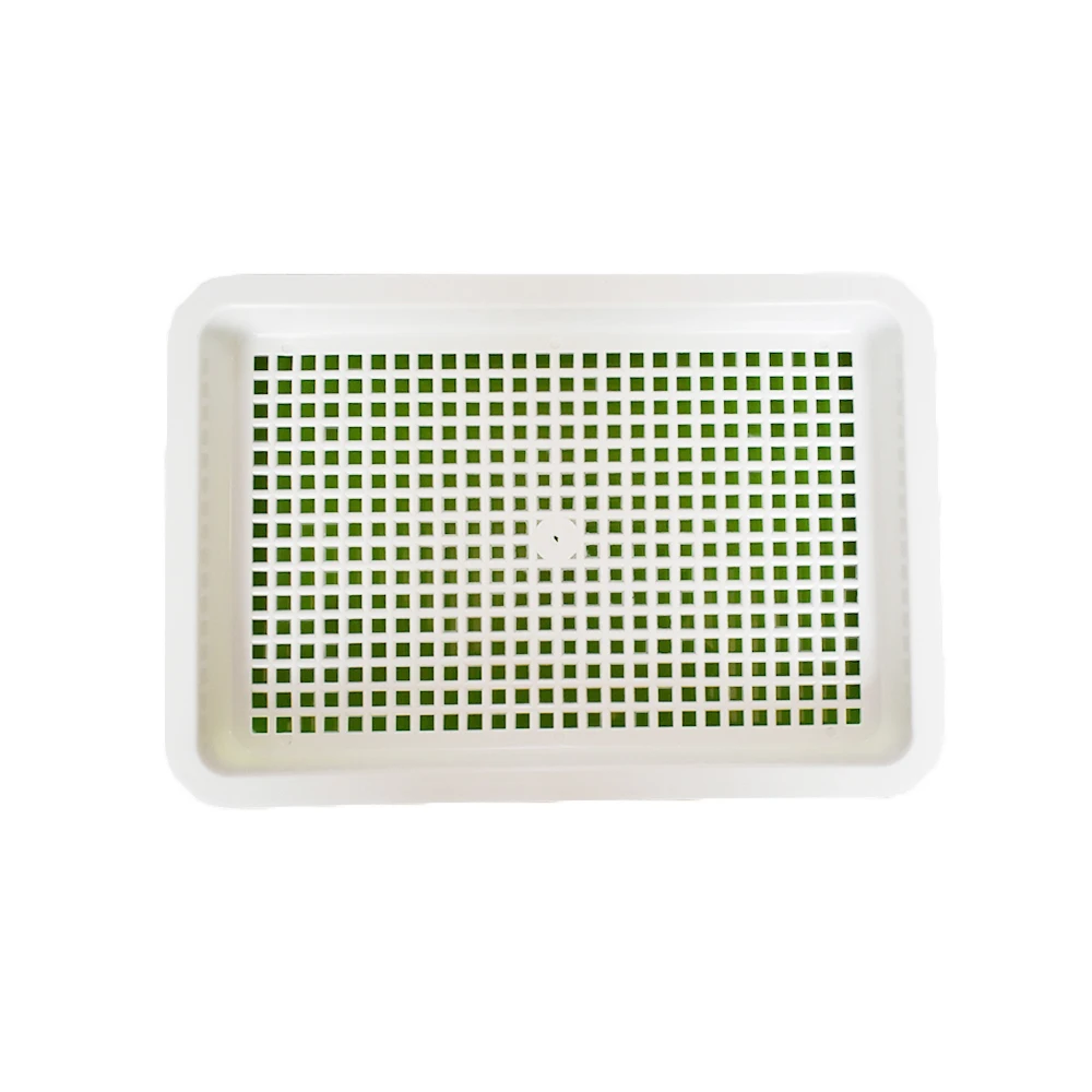Greenhouse Best Selling Dish Basin Of Bud Seedling Tray Garden Germination Tray