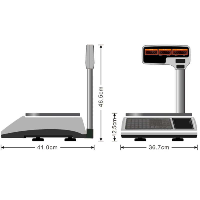 Good sale digital electronic cashing balance 15kg or 30kg usb weighing scale with thermal receipt roll printer T30U