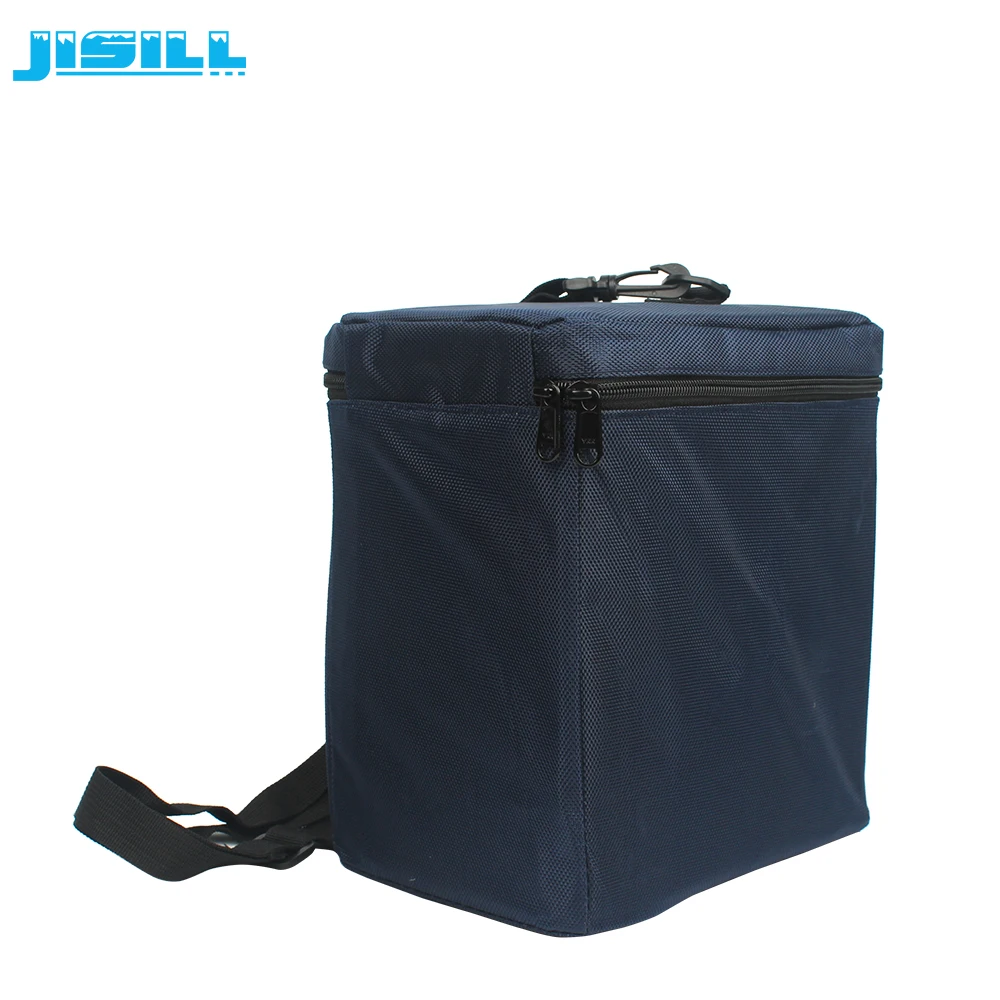 Factory Wholesale Isothermal Smart Vaccine Cooler Bag Thermal PU Foaming/vpu Vacuum Insulation Panel CANS 600D Oxford Cloth 4L