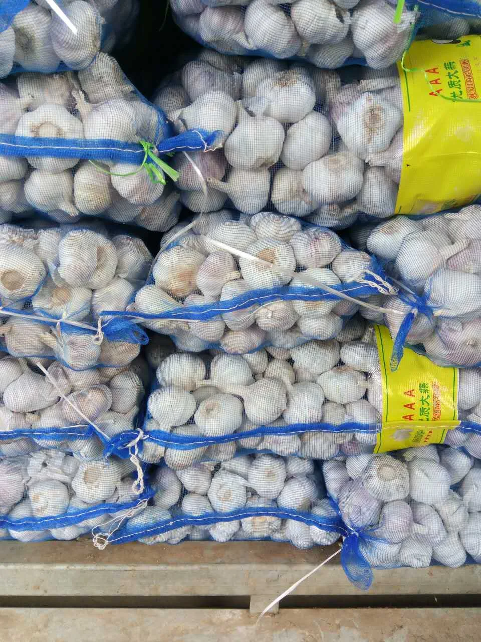 
wholesale garlic buyers and fresh normal white garlic indian garlic 