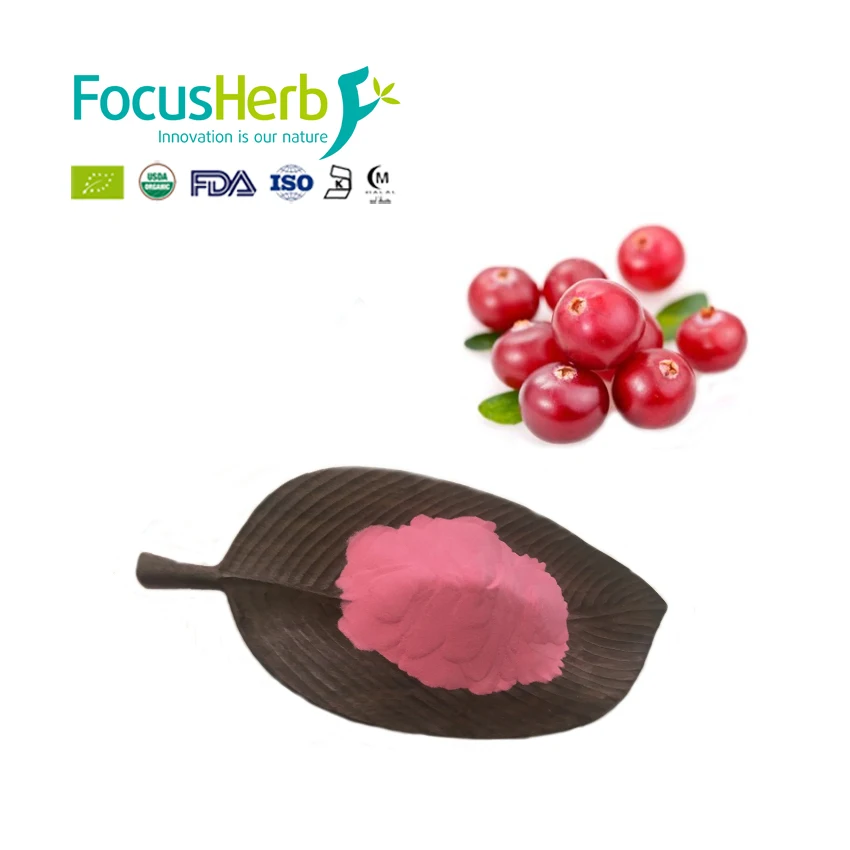 
Pure Natural Water Soluble Spray-dried Cranberry Juice Powder 