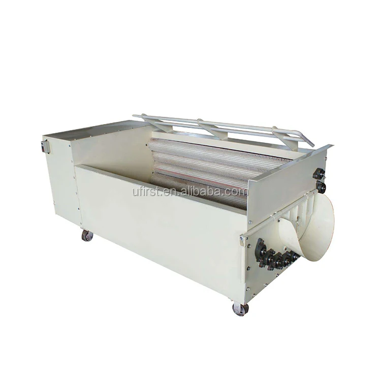 
Industrial automatic ginger peeling carrot washing machine 