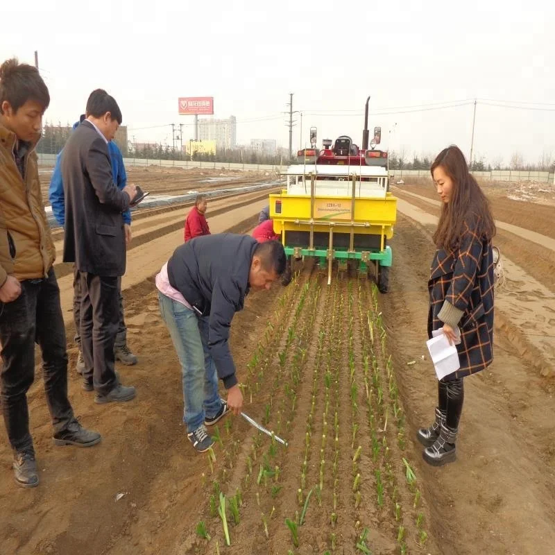 2ZBX series transplanter onion tomato transplanting machine for seedlings greenhouse seeding transplanting machine equipment