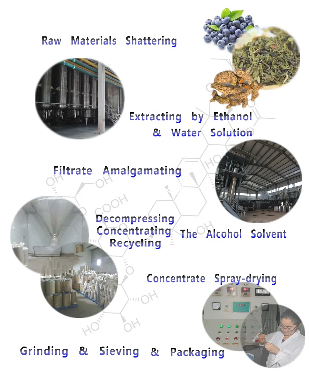 98% Andrographis Paniculata Extract/ Andrographolide/Herba Andrographis P.E. powder