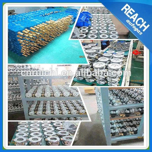 LPG Fuel Pressure Regulator Reducer lpg Conversion Kit for Auto