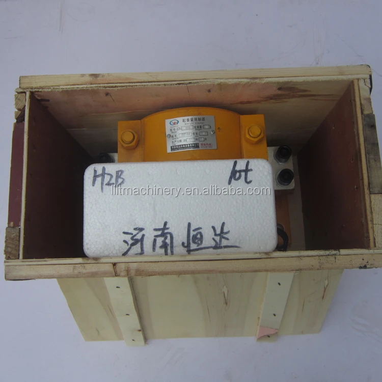 Load And Moment Tower 1 Ton Electric Chain Hoist Worm Adjusting Limit Switch Overload Limiter For European Crane