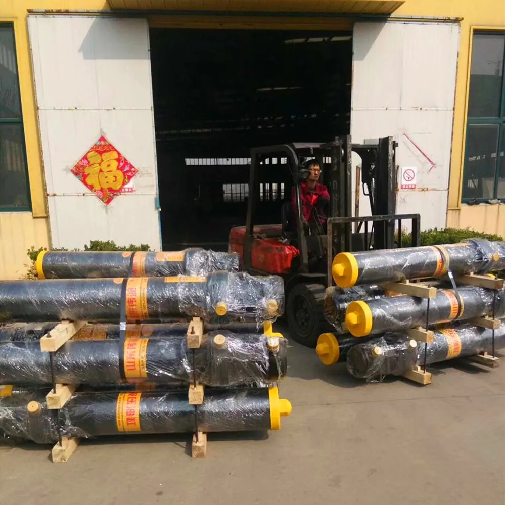 
3TG-E129X3880 Single Acting Hydraulic Cylinders 