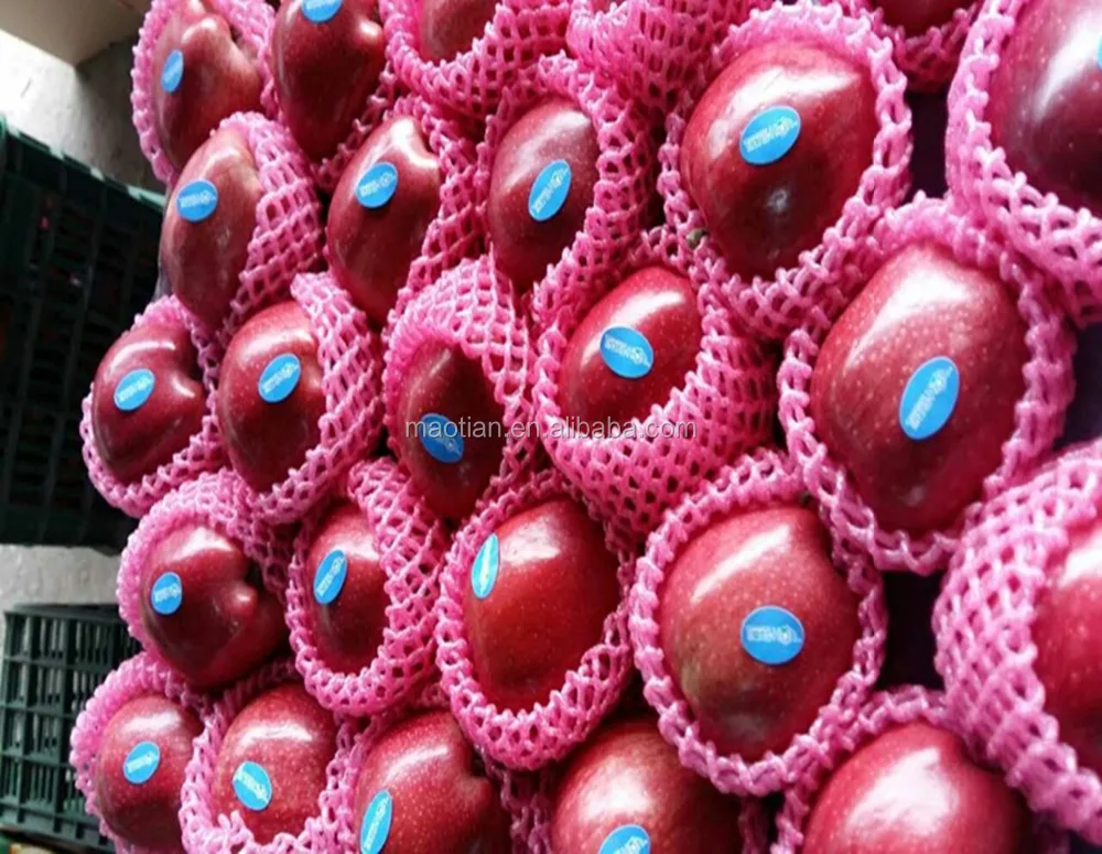 Professional Fresh Apple Exporter