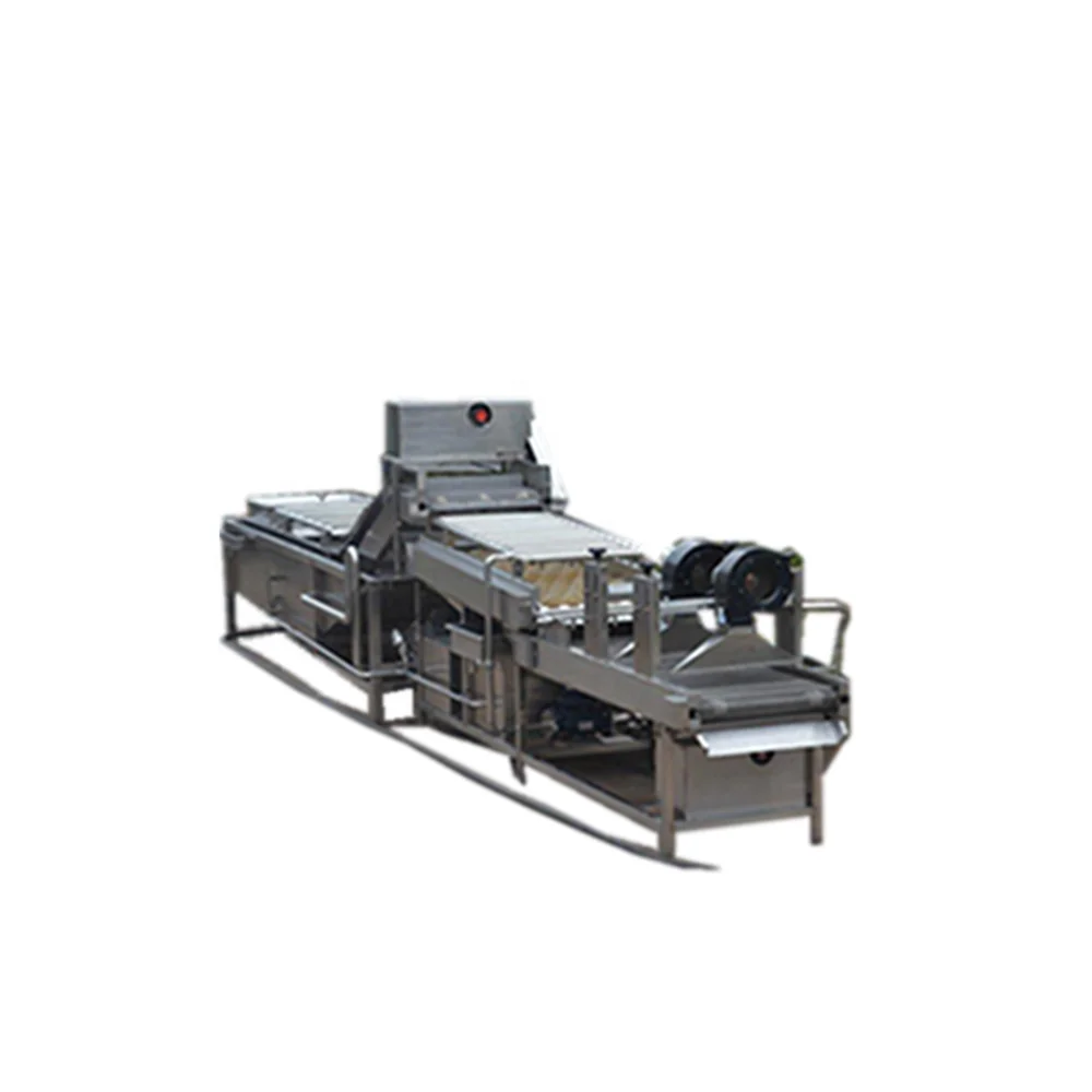 industry onion cucumber Kohlrabi salad leaf vegetable washing equipment cutting grading process machine manufacturer