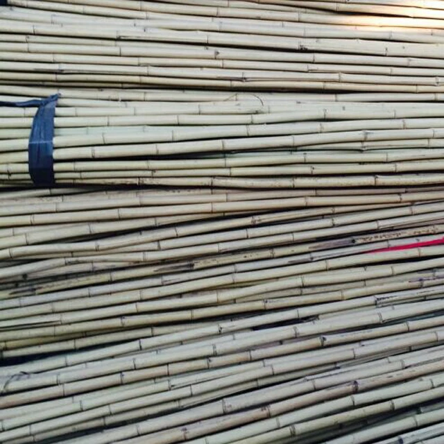 Натуральные сухие прямые и сильный бамбуковые поляки для продажи