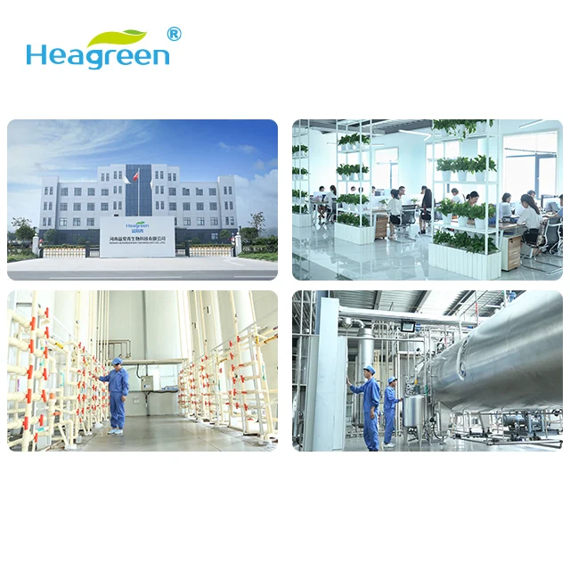 food additives sweetener high oligosaccharide corn syrup 70% 95%