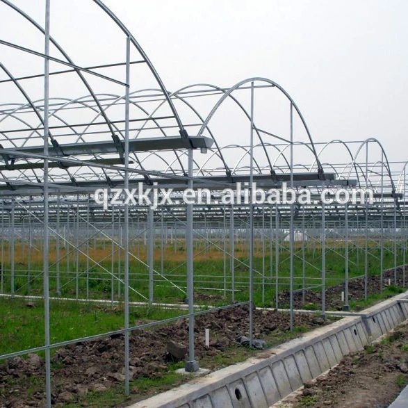 2021 new product green house plastic film greenhouse agricultural greenhouse