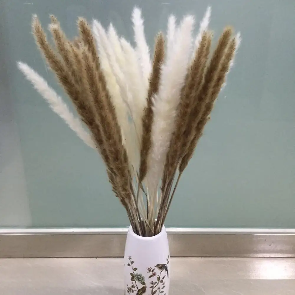 fast delivery wholesale real preserved roses cut price for weddings